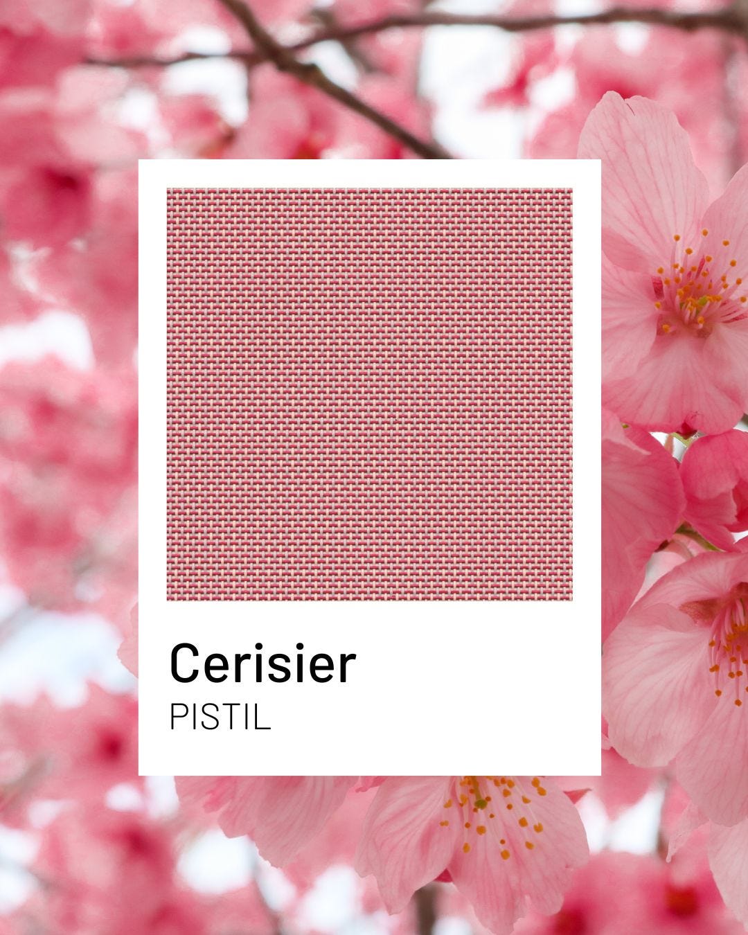 Cerisier, a soft and warm tone from the Pistil collection by Lafuma Mobilier