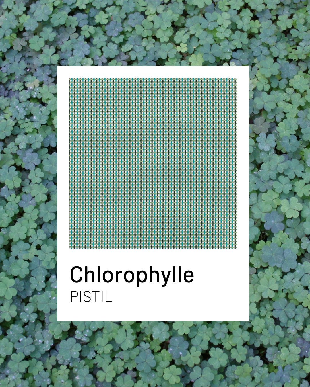 Chlorophylle, a natural and intense color for your terraces | Lafuma Mobilier