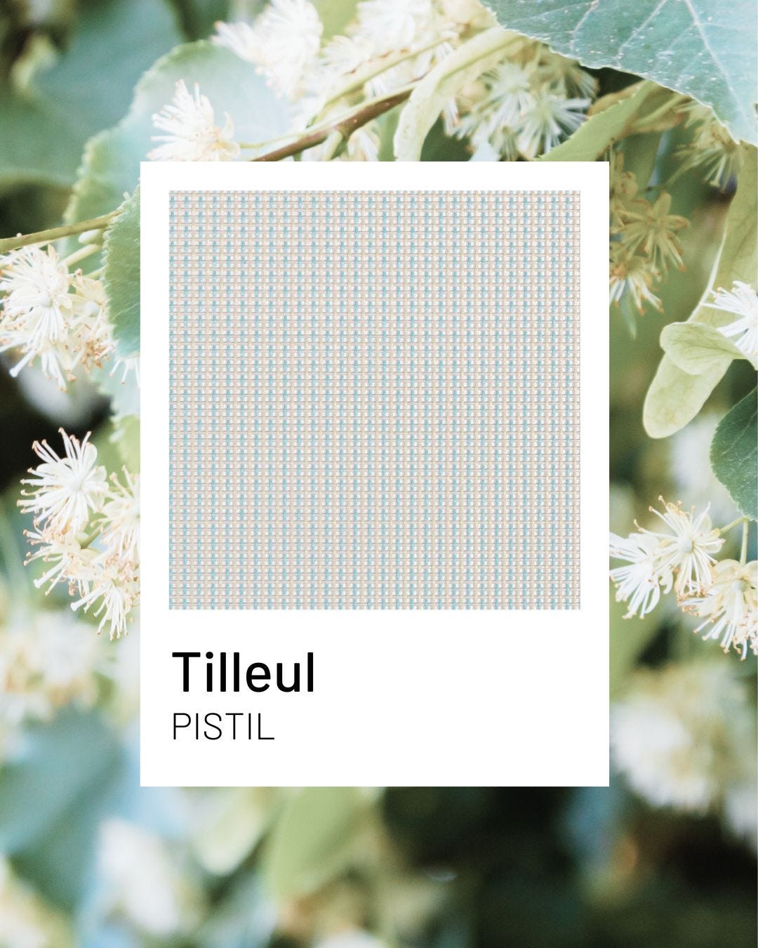 Tilleul, a fresh and soothing shade for durable garden furniture | Lafuma Mobilier